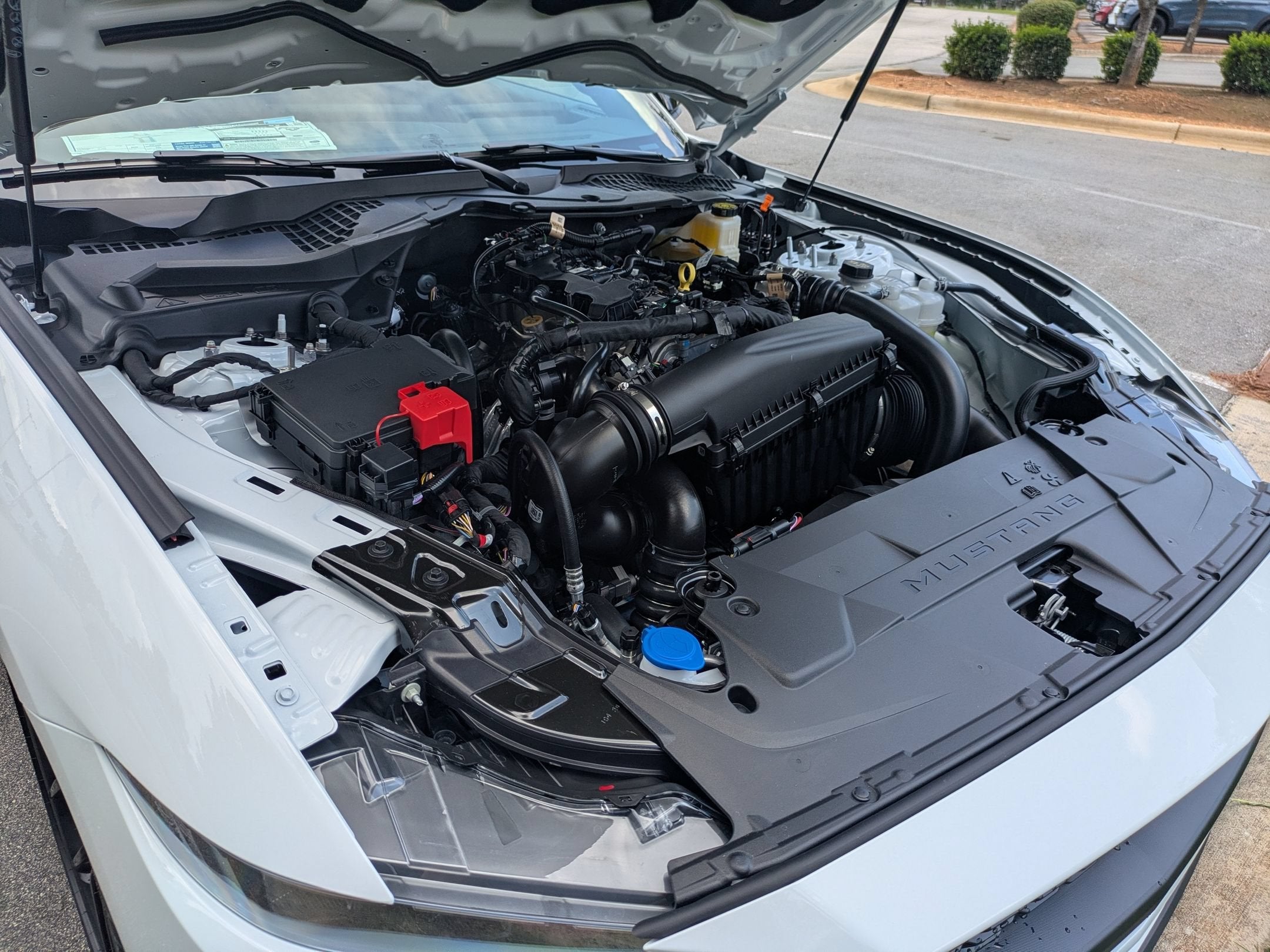 2026 Ford Mustang EcoBoost