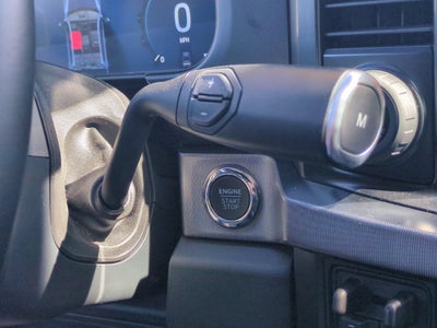 2025 Ford Super Duty F-350 DRW Platinum