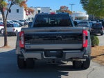 2025 Ford Super Duty F-350 DRW Platinum
