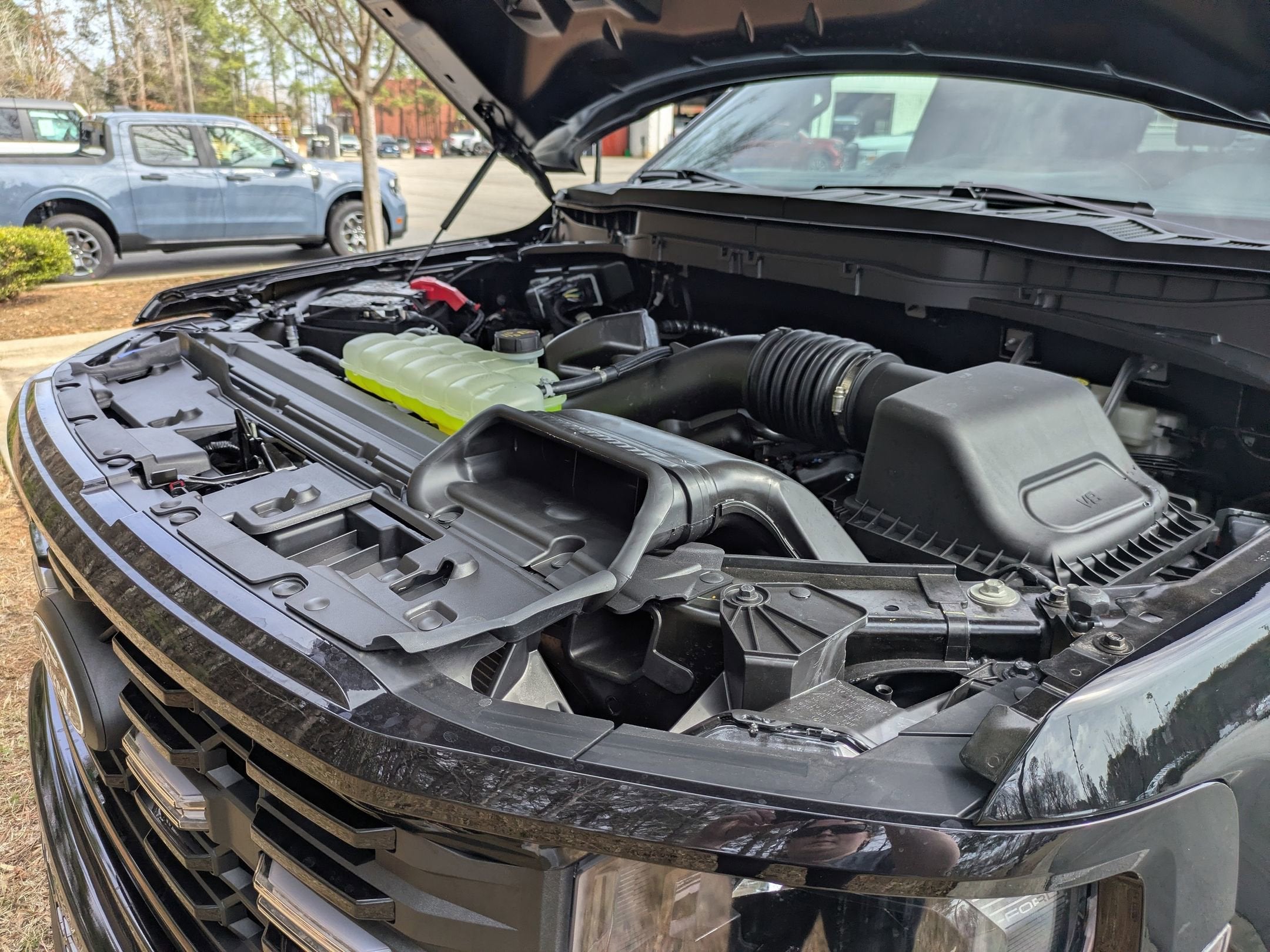 2026 Ford F-150 STX - LOBO