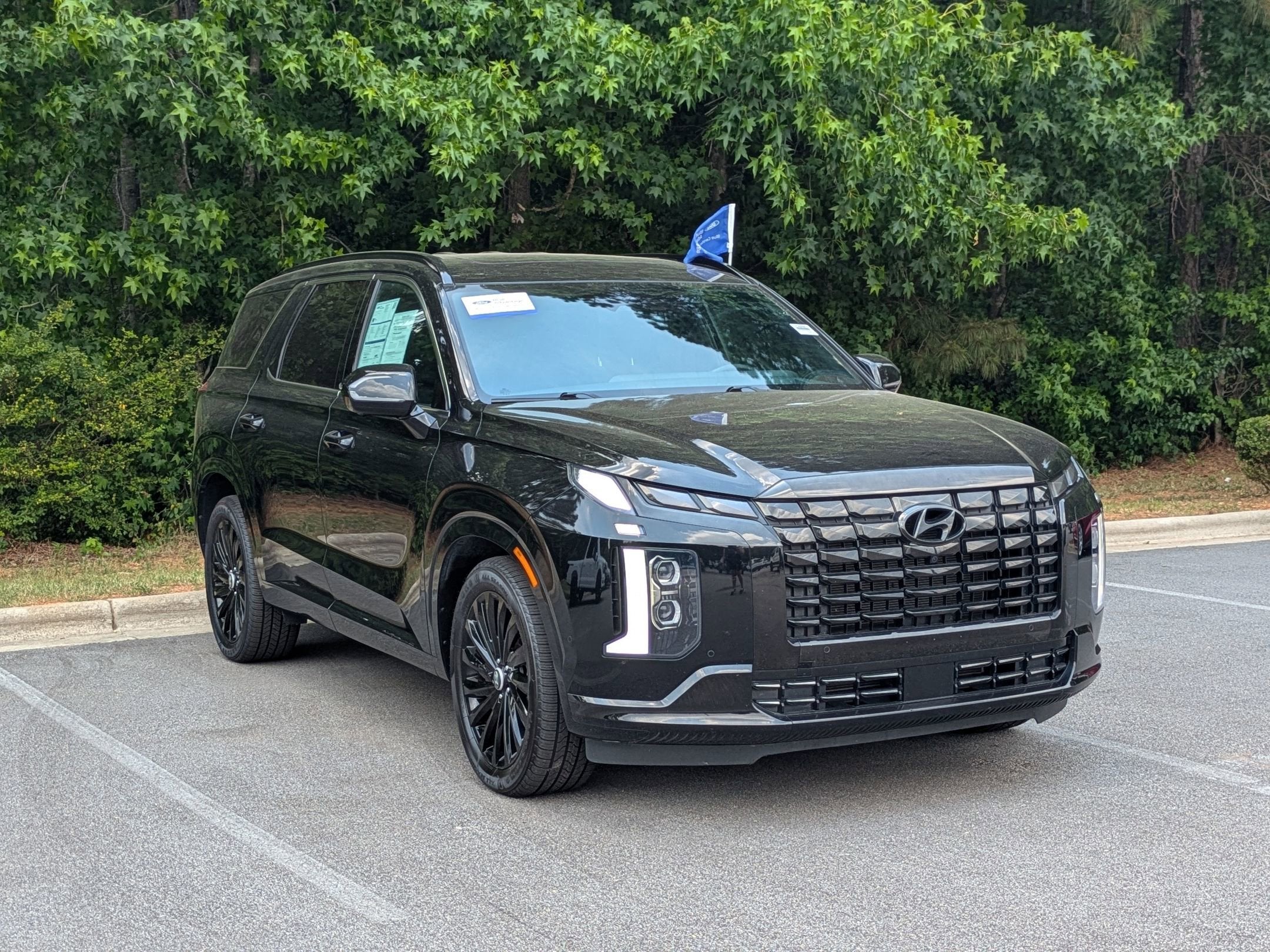 2024 Hyundai Palisade Calligraphy Night Edition