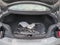 2026 Ford Mustang EcoBoost - Crossroads Courtesy Demo