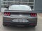 2026 Ford Mustang EcoBoost - Crossroads Courtesy Demo