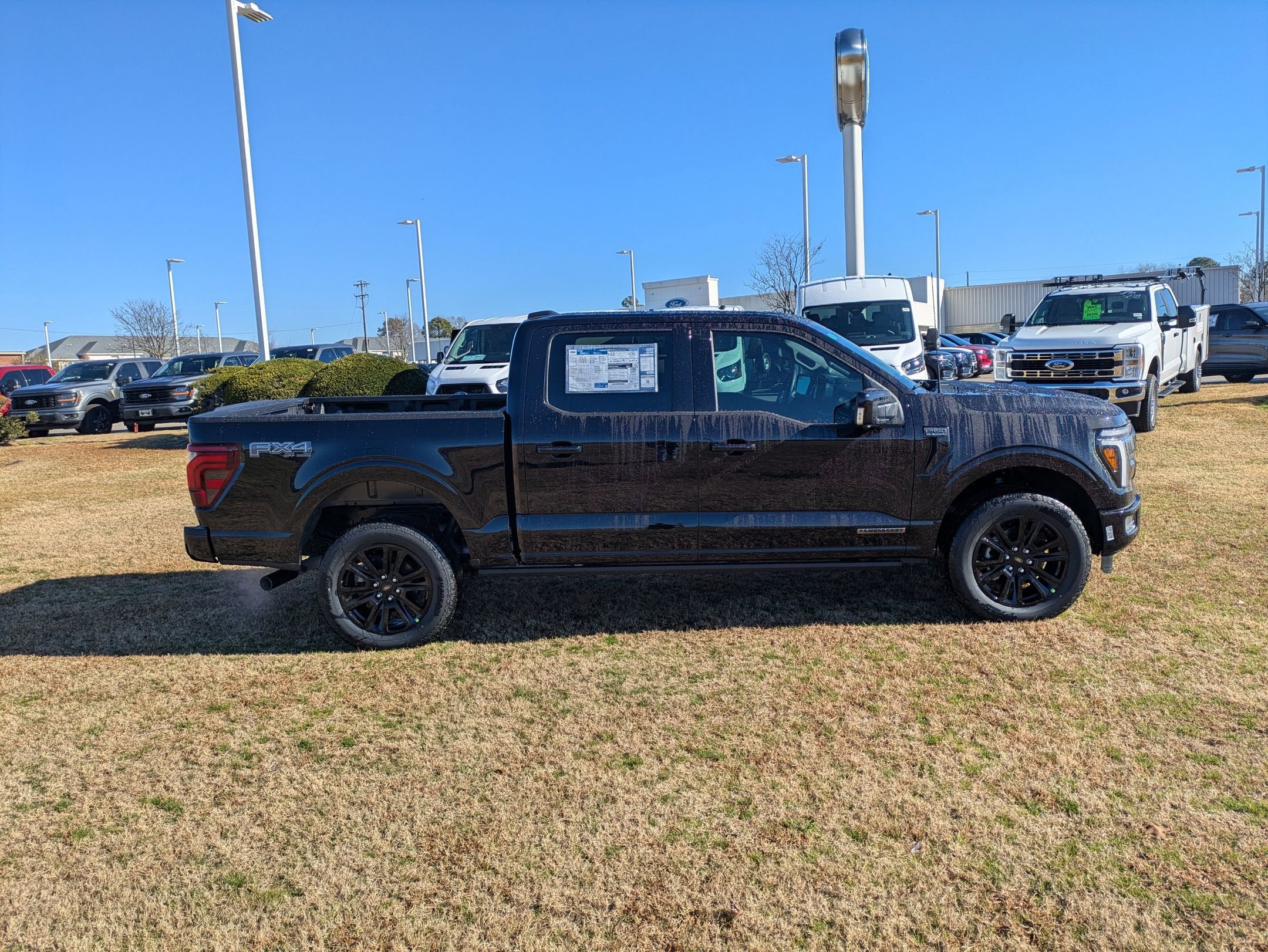 2025 Ford F-150 Platinum