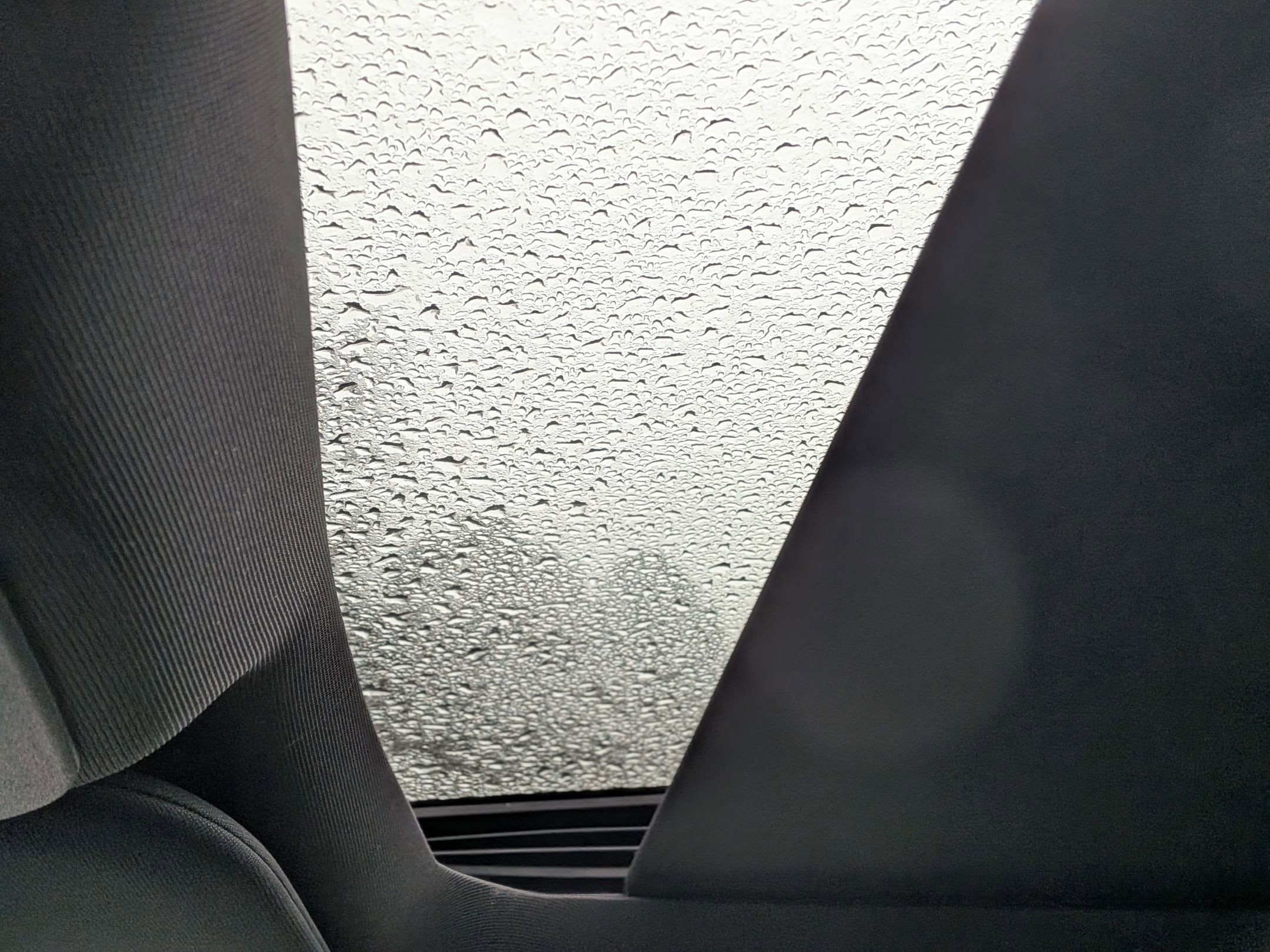 2026 Ford Super Duty F-250 SRW Platinum Tremor