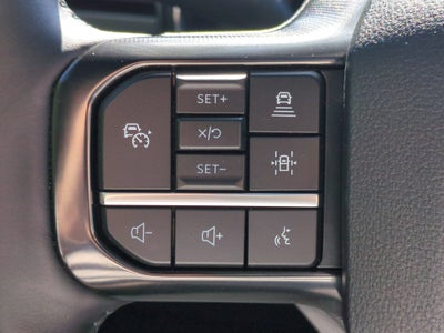 2025 Ford Super Duty F-450 DRW Platinum