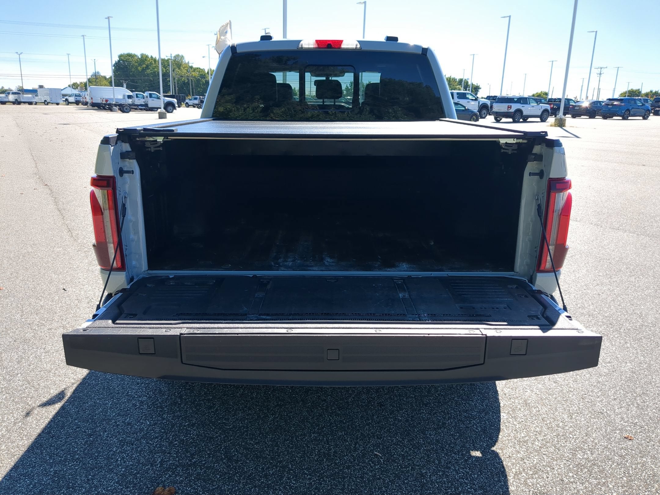 2024 Ford F-150 Platinum