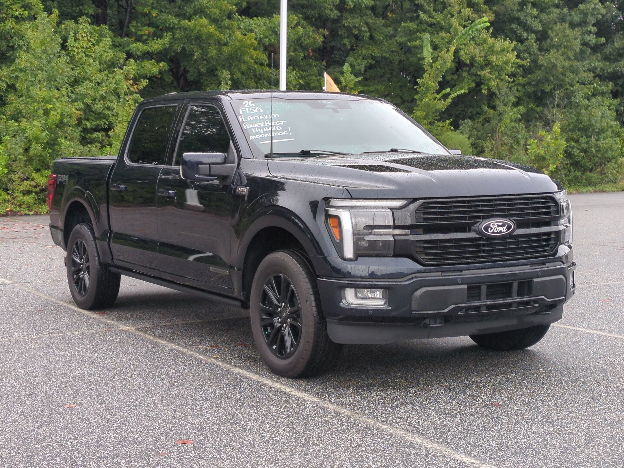 2025 Ford F-150 Platinum