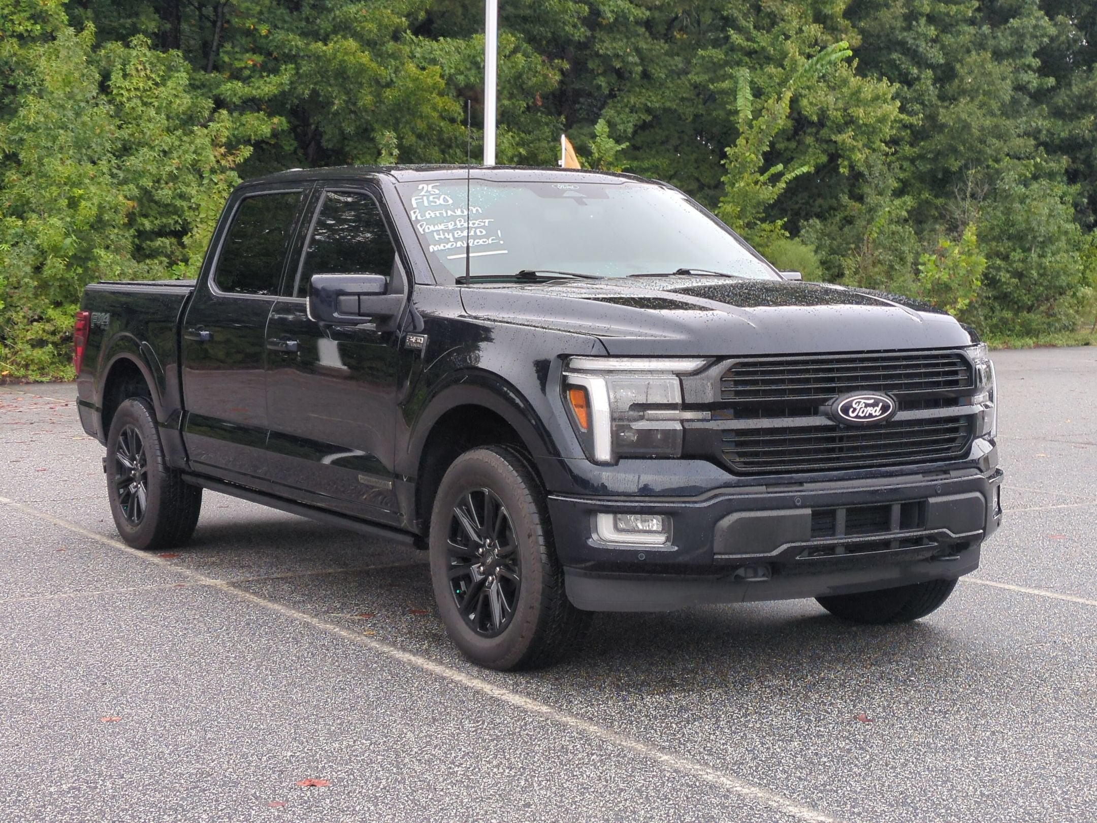 2025 Ford F-150 Platinum