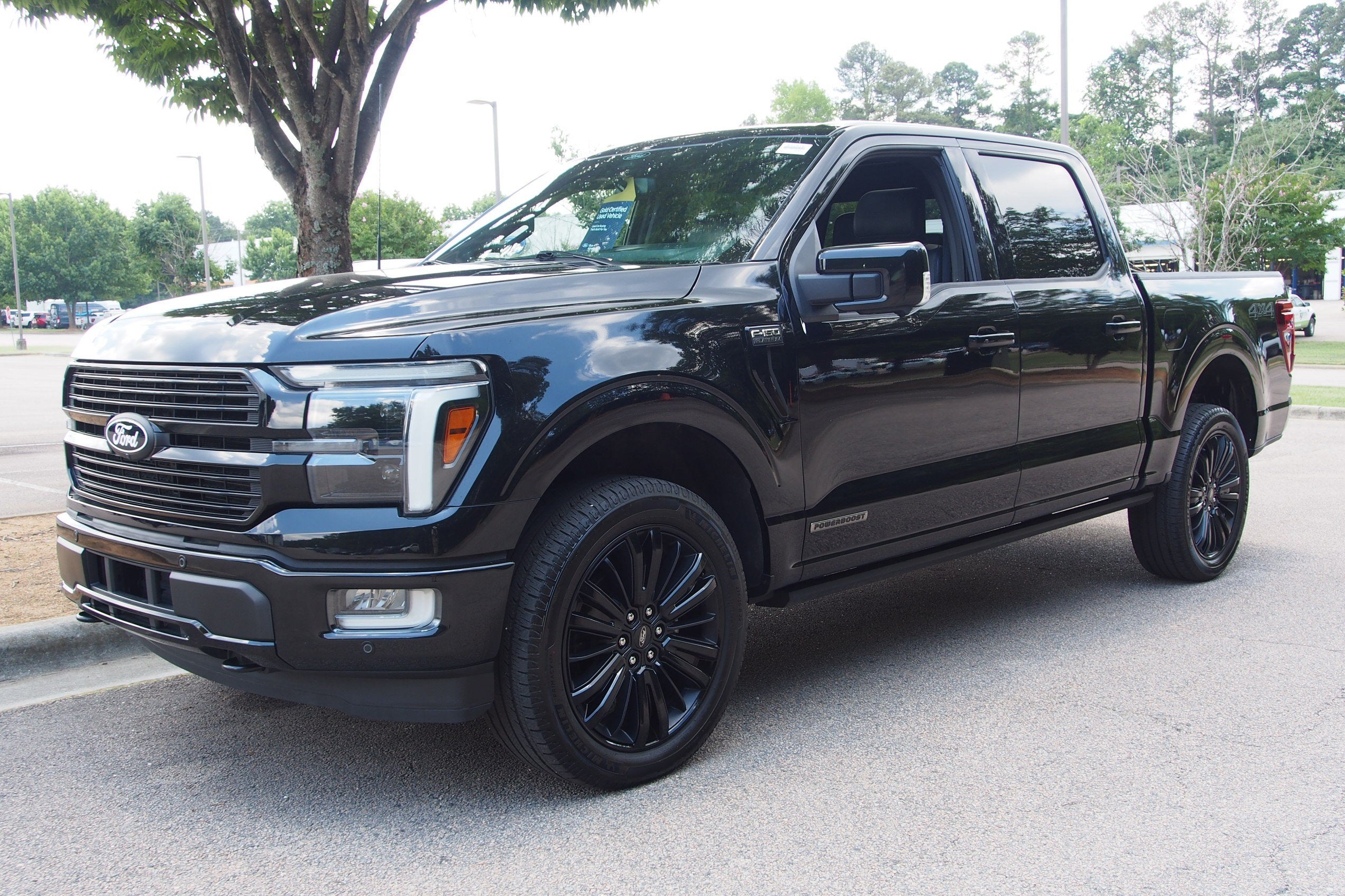 2025 Ford F-150 Platinum