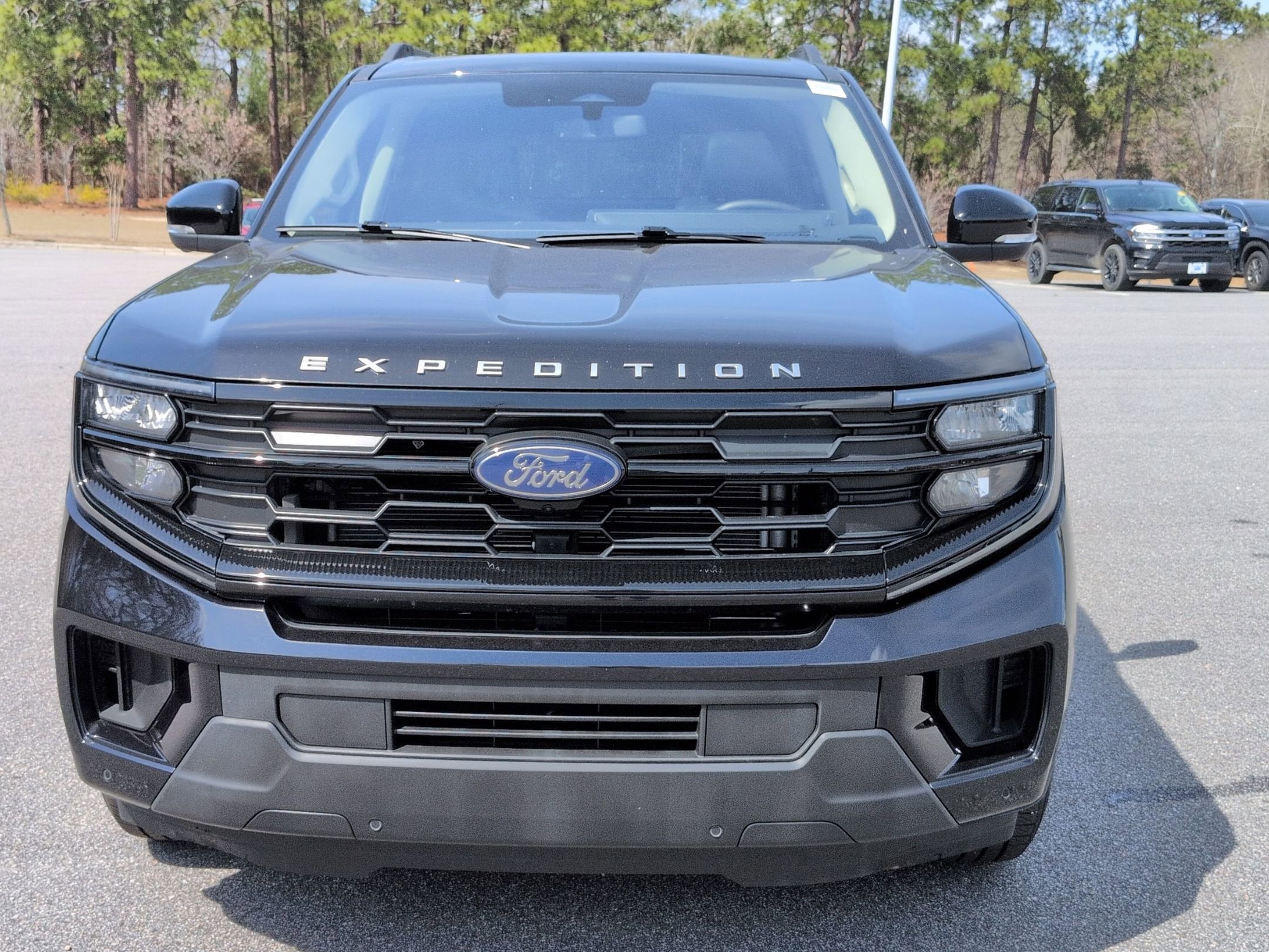 2025 Ford Expedition Active
