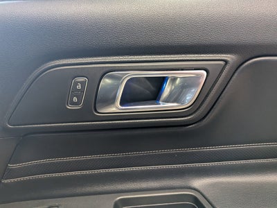 2019 Ford Mustang SHELBY