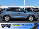 2026 Ford Escape Active - Crossroads Courtesy Demo