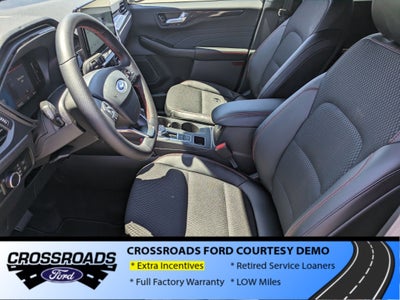 2025 Ford Escape ST-Line - Crossroads Courtesy Demo