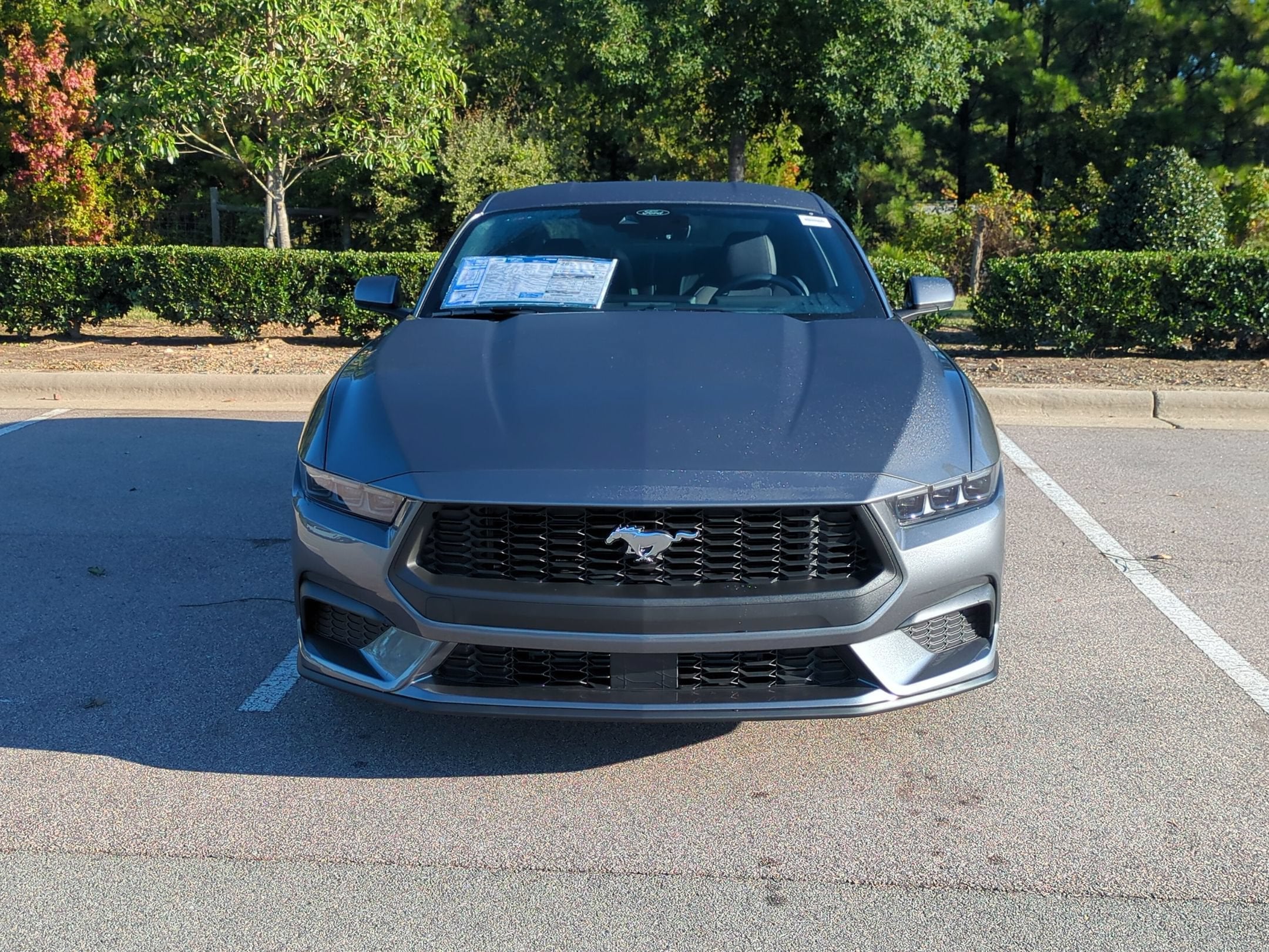 2026 Ford Mustang EcoBoost