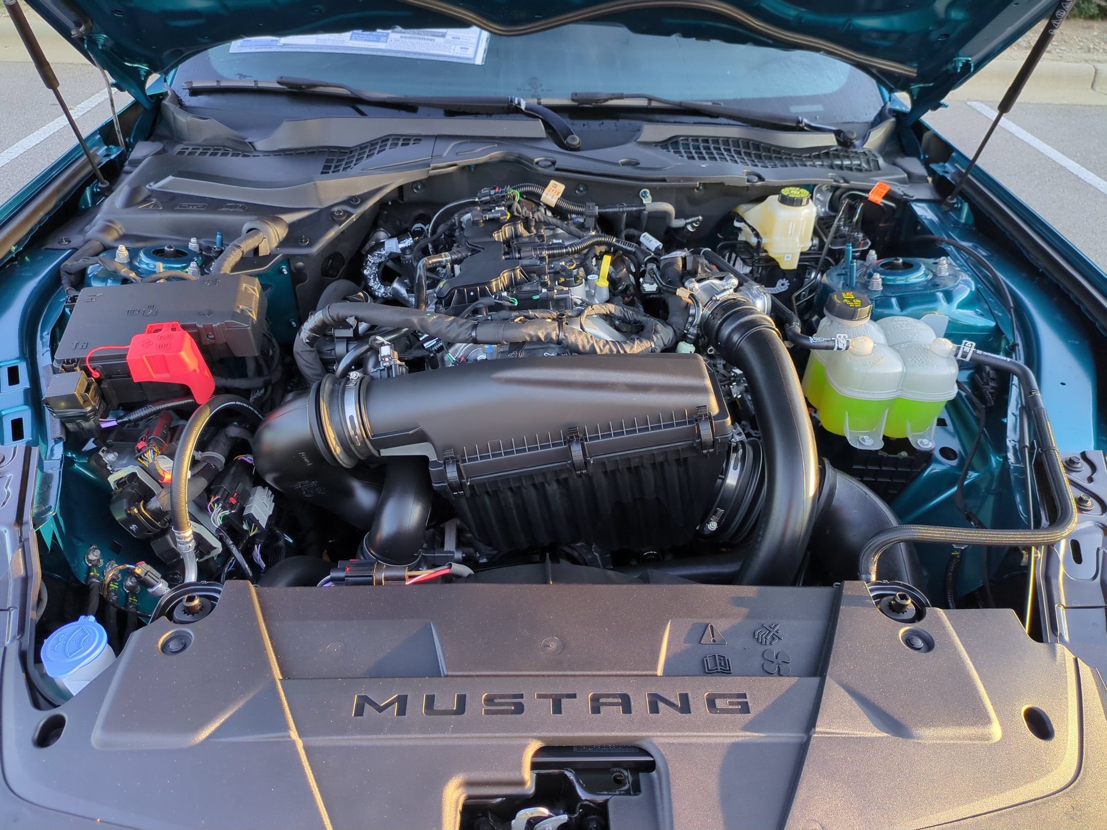2026 Ford Mustang EcoBoost