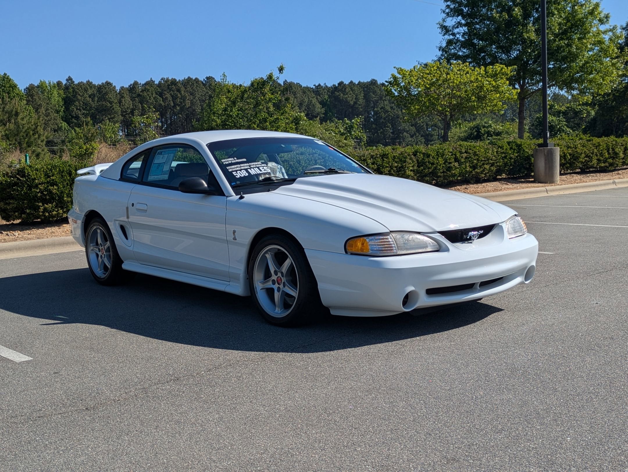 1995 Ford Mustang SVT Cobra R