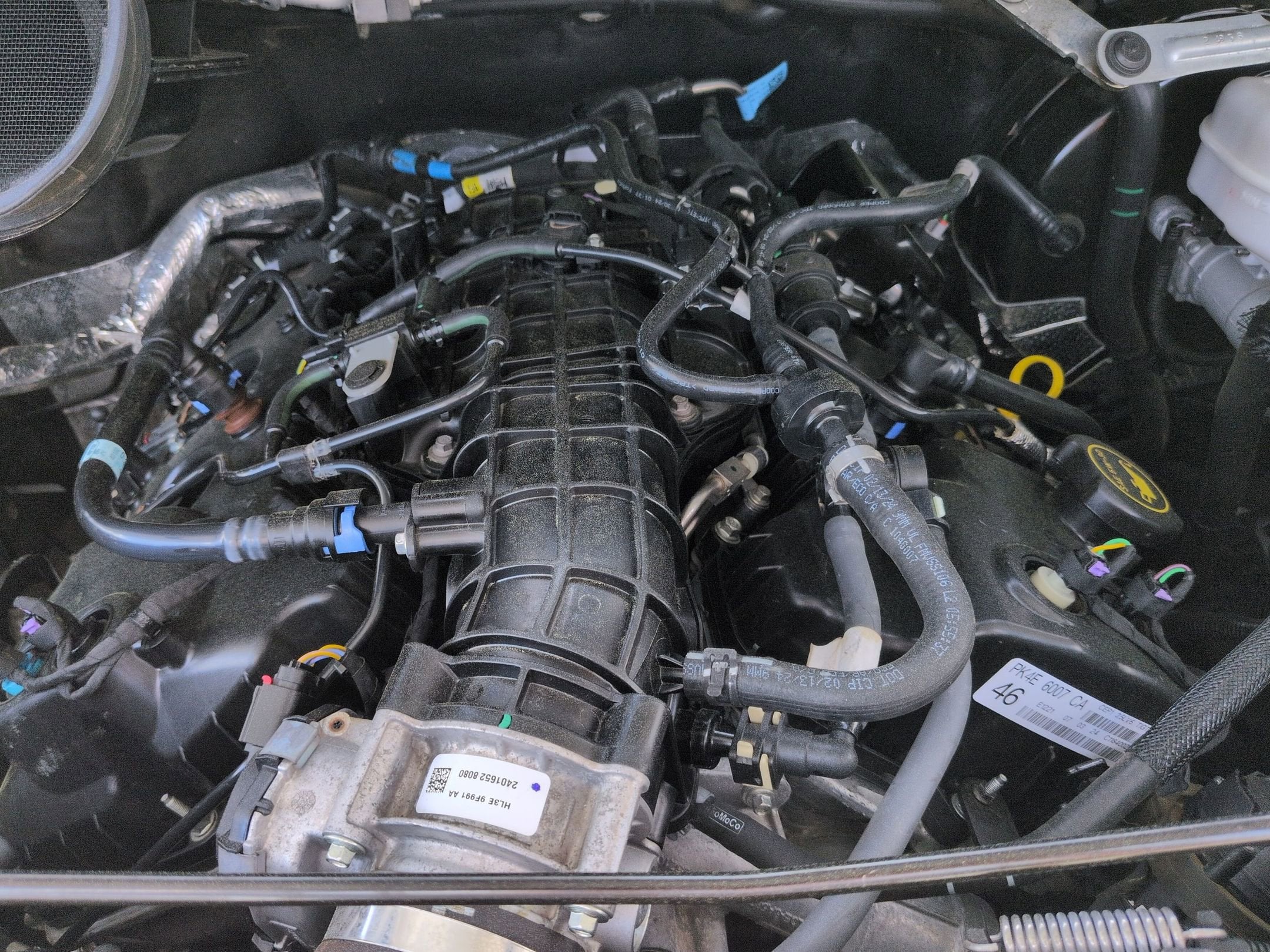 2024 Ford Transit Passenger Wagon XLT