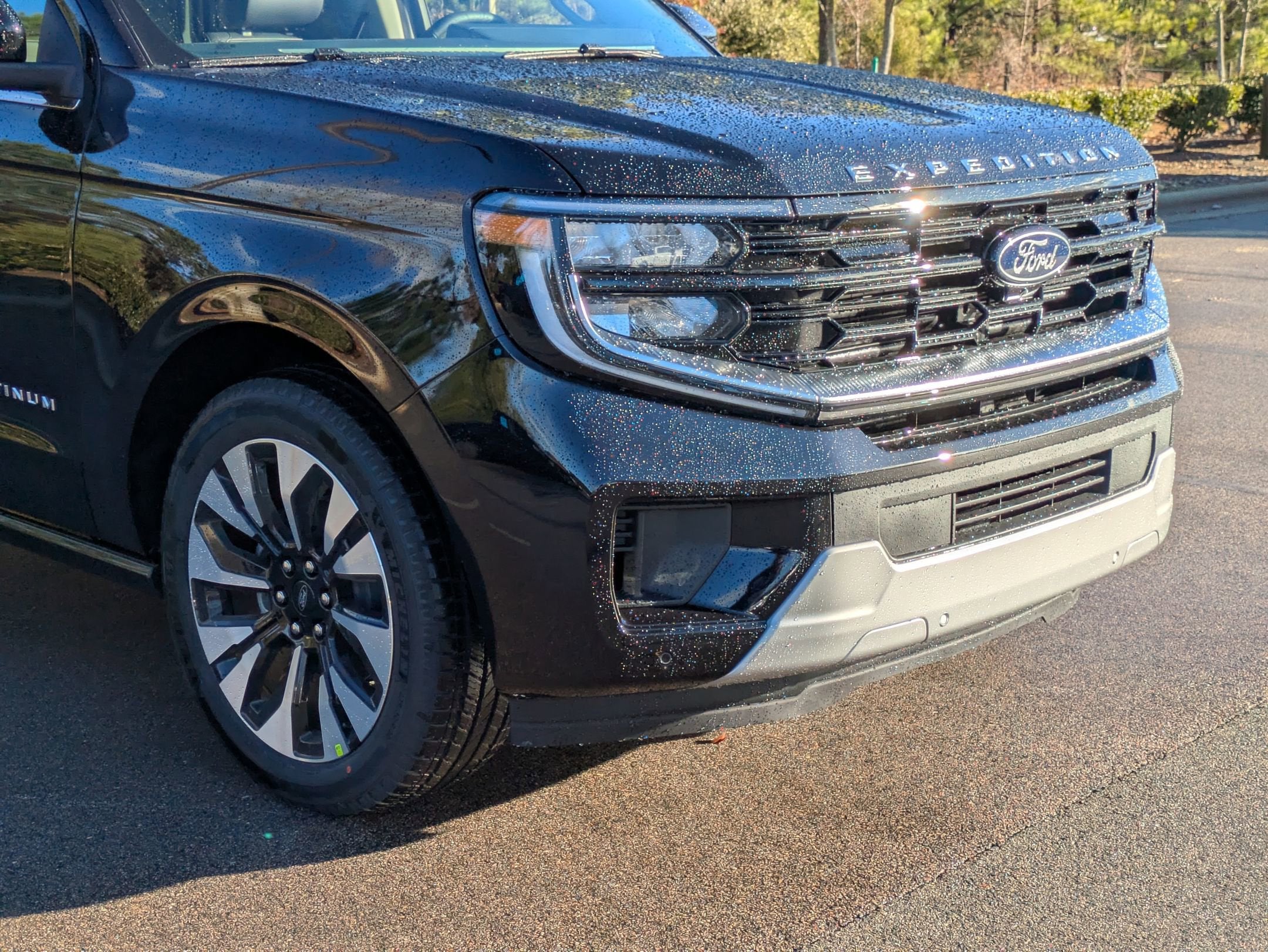 2025 Ford Expedition Max Platinum