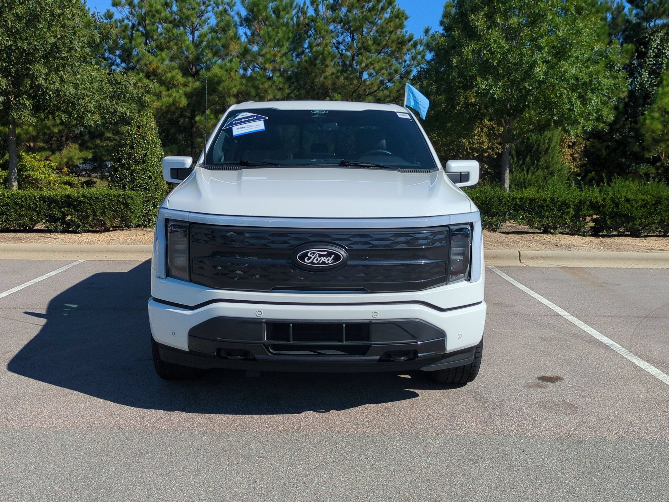 2025 Ford F-150 Lightning Platinum