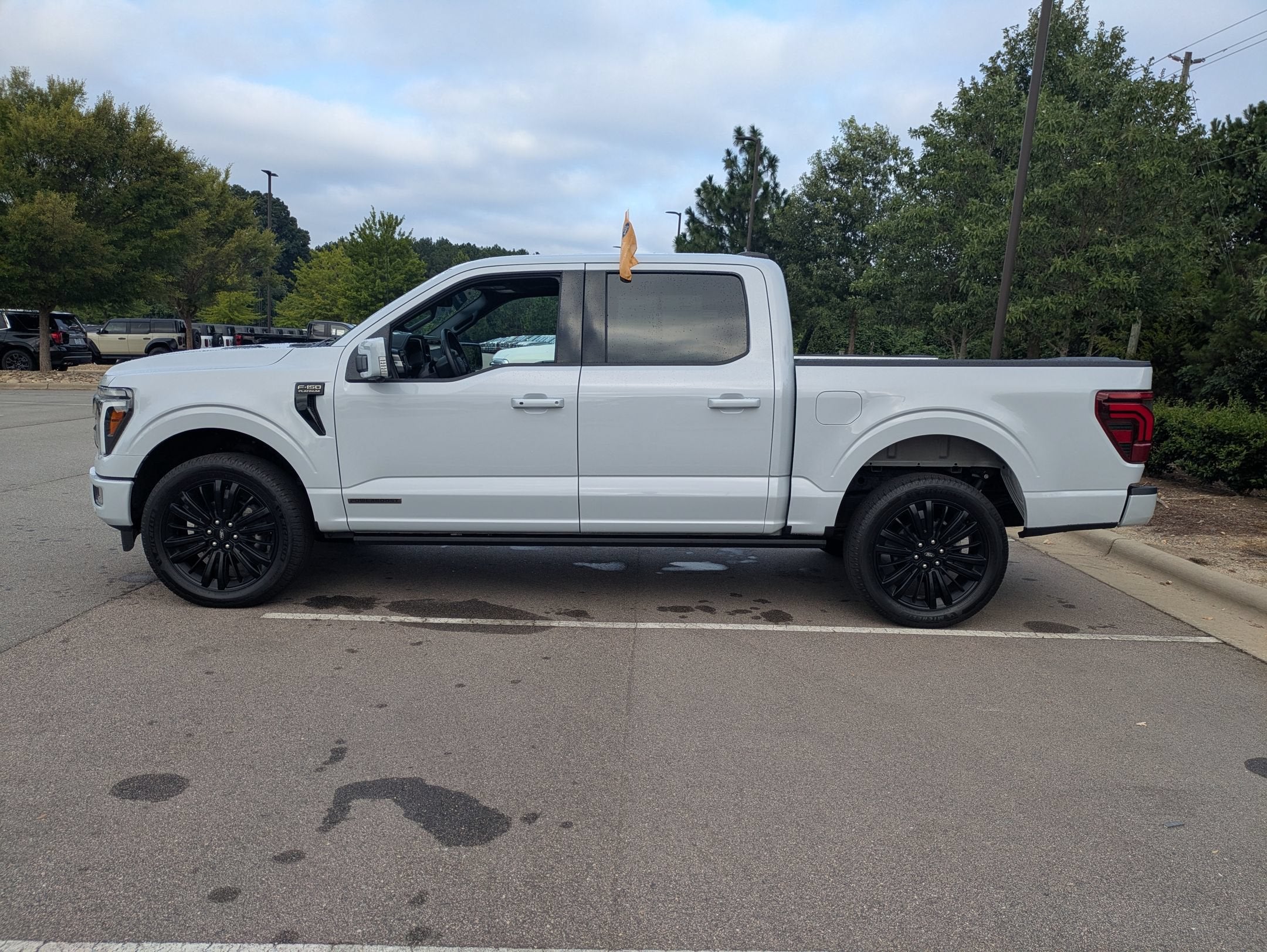 2025 Ford F-150 Platinum