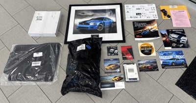 2013 Ford Mustang Boss 302