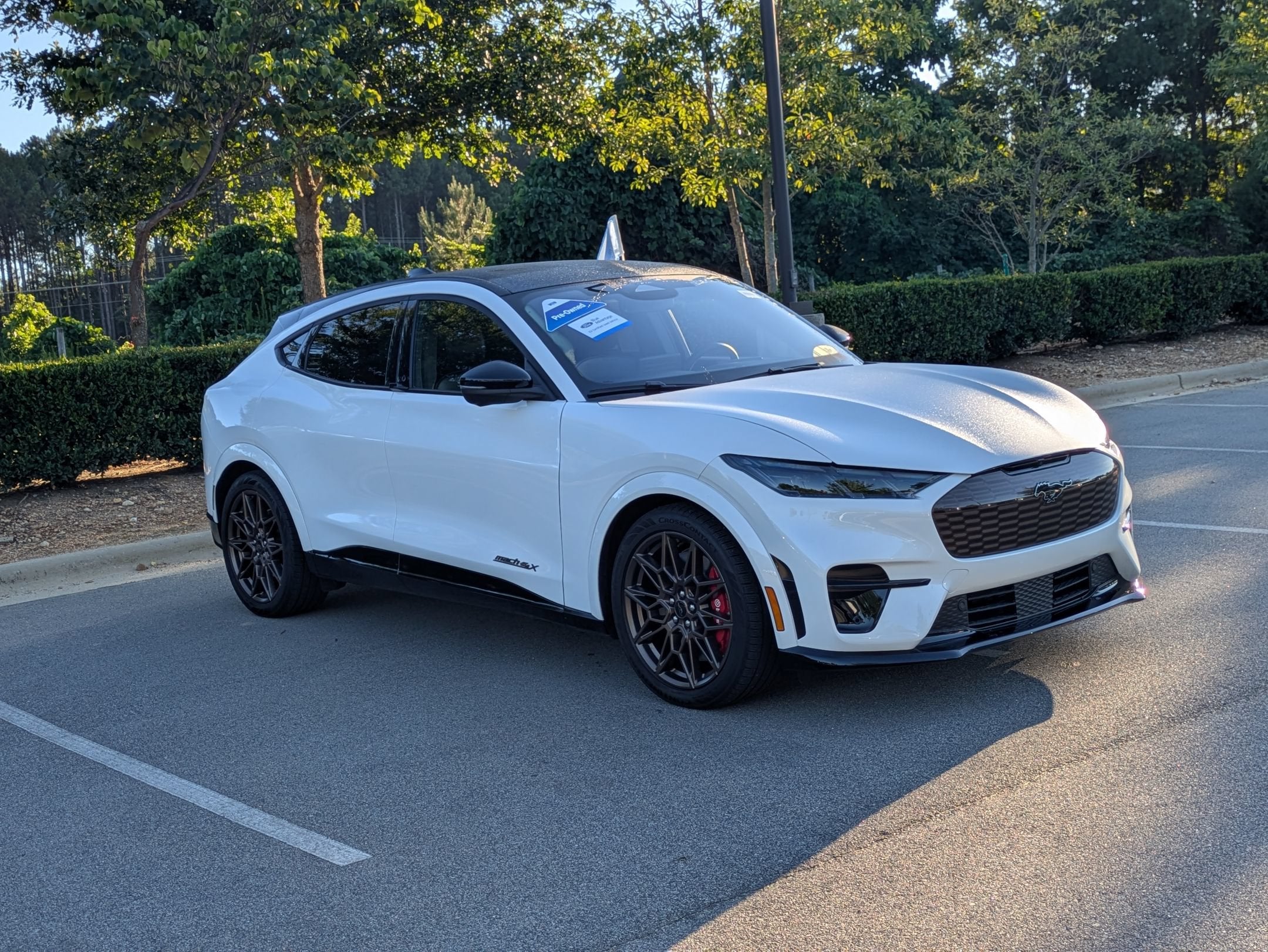 2025 Ford Mustang Mach-E GT