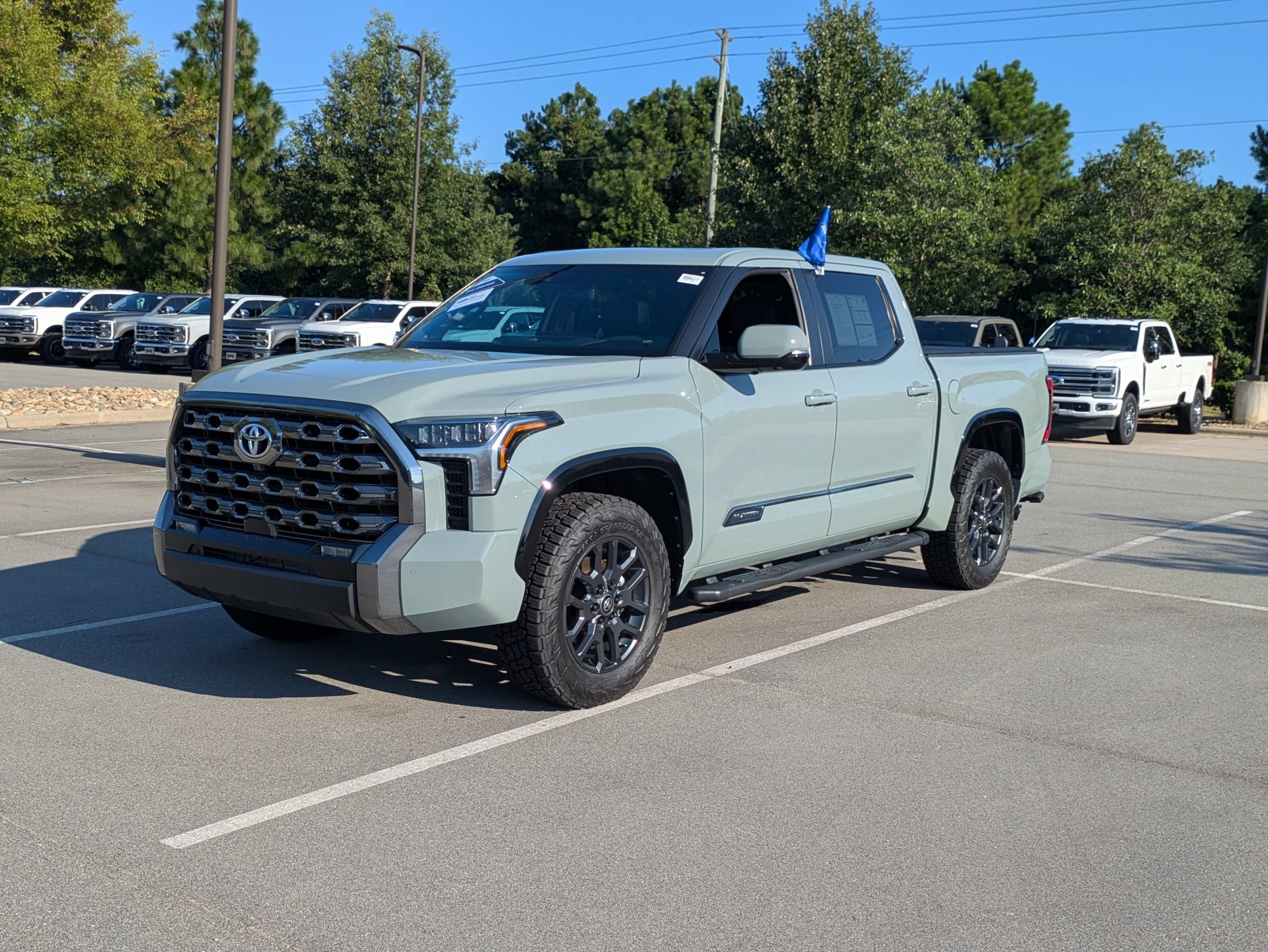 2025 Toyota Tundra 4WD Platinum