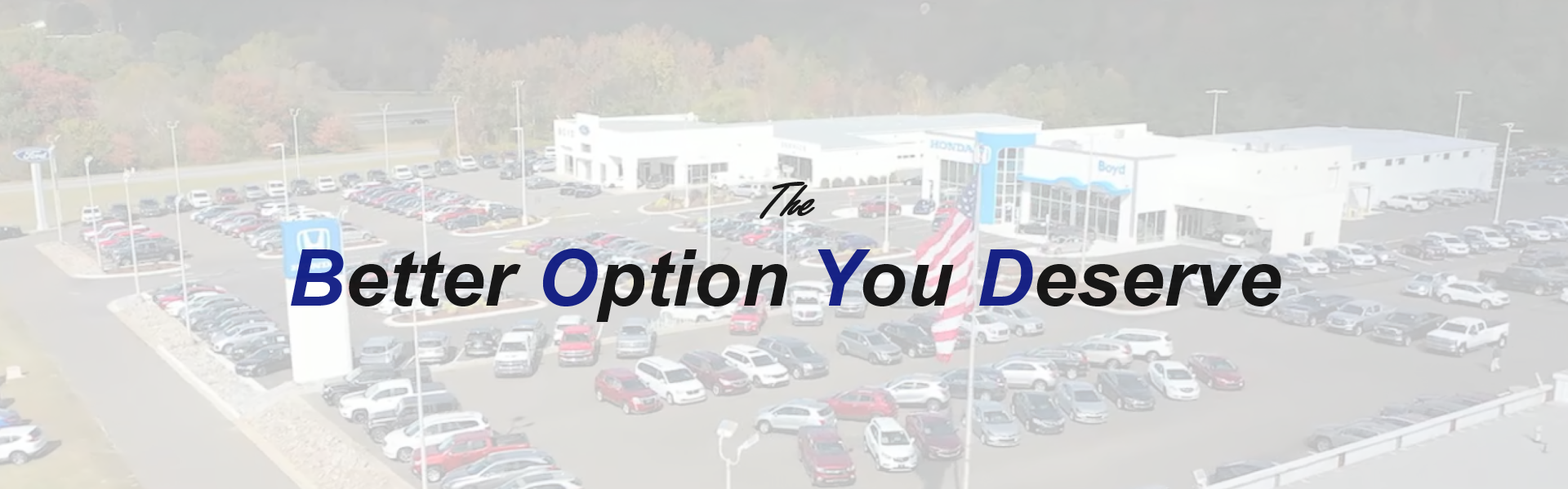 The Better Option You Deserve white background